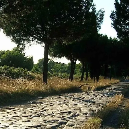 Colfelice